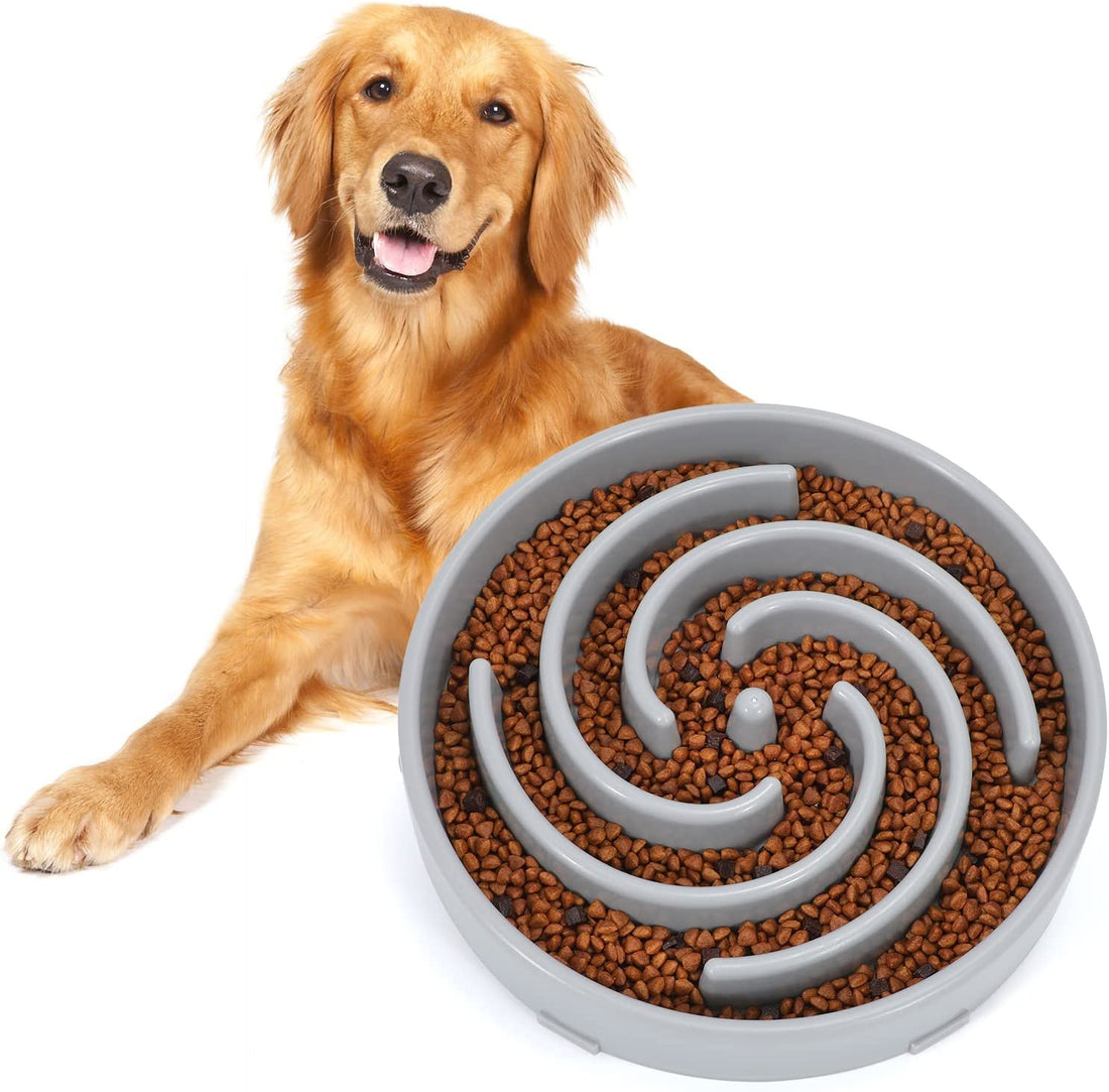 Slow Feeder Dog Bowl – Large Non-Slip Puzzle Bowl for Fast Eaters