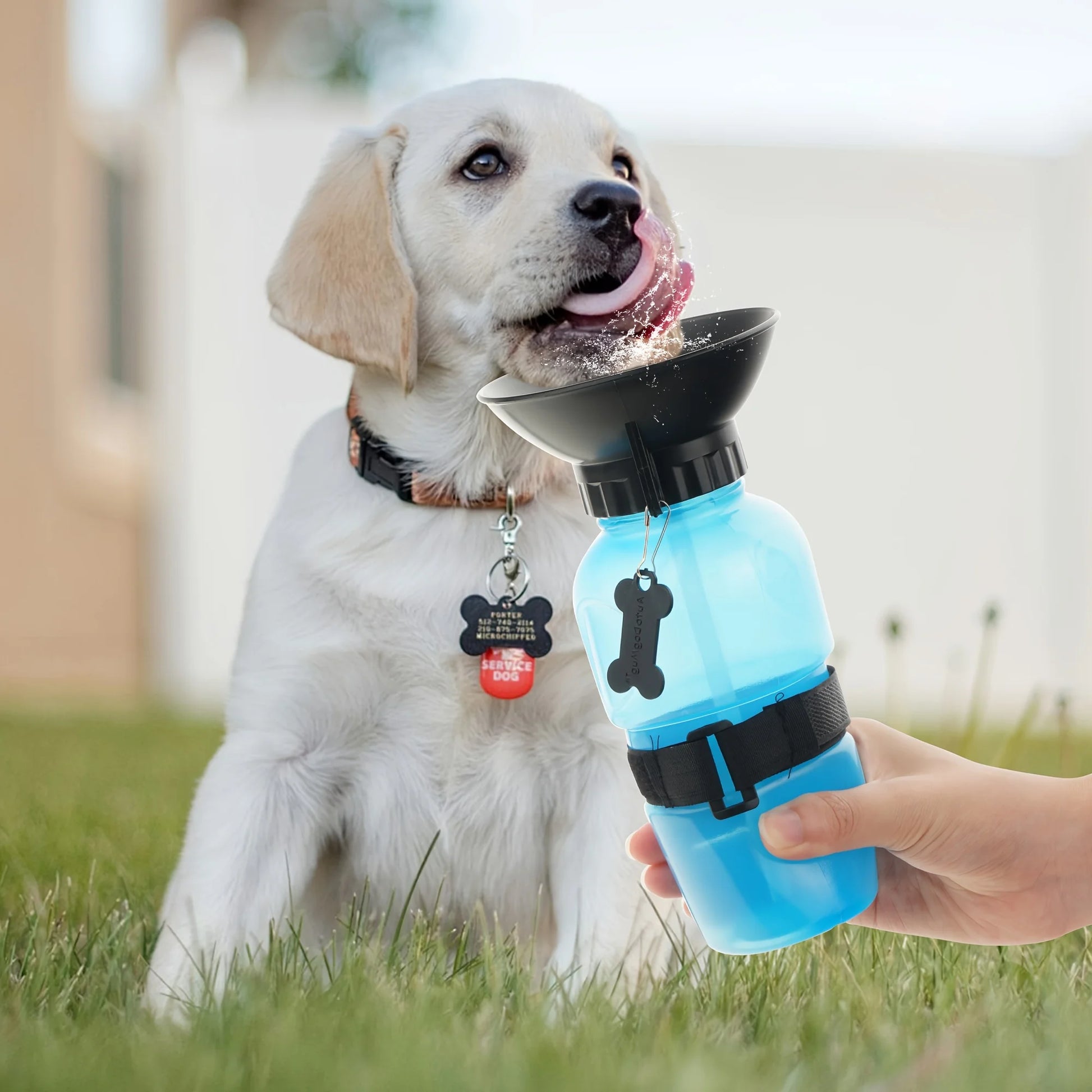 Portable Dog Water Bottle – Travel Dispenser for Dogs & Cats