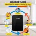 10L Mini Fridge for Skincare, Portable Cooler & Warmer with Handle