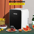10L Mini Fridge for Skincare, Portable Cooler & Warmer with Handle