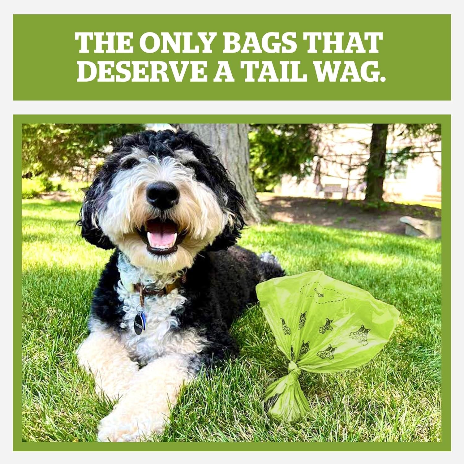 Pogi’s Dog Poop Bags – 450 Count, Unscented Leak-Proof Pet Waste Bags