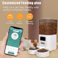 Smart Pet Feeder with Dual Bowls – 5L WiFi Automatic Food Dispenser