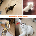 Feather Teaser Cat Toy – 34.5