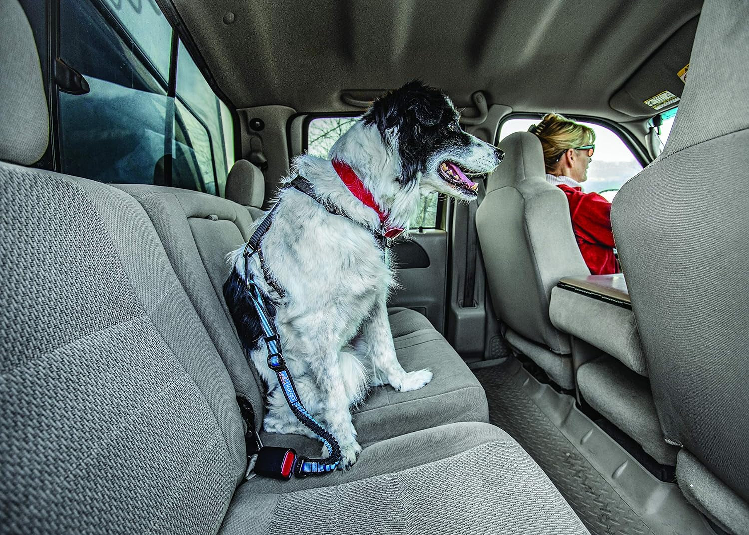 Dog Car Seat Belt – Adjustable Bungee Tether with Carabiner Clip (Blue)