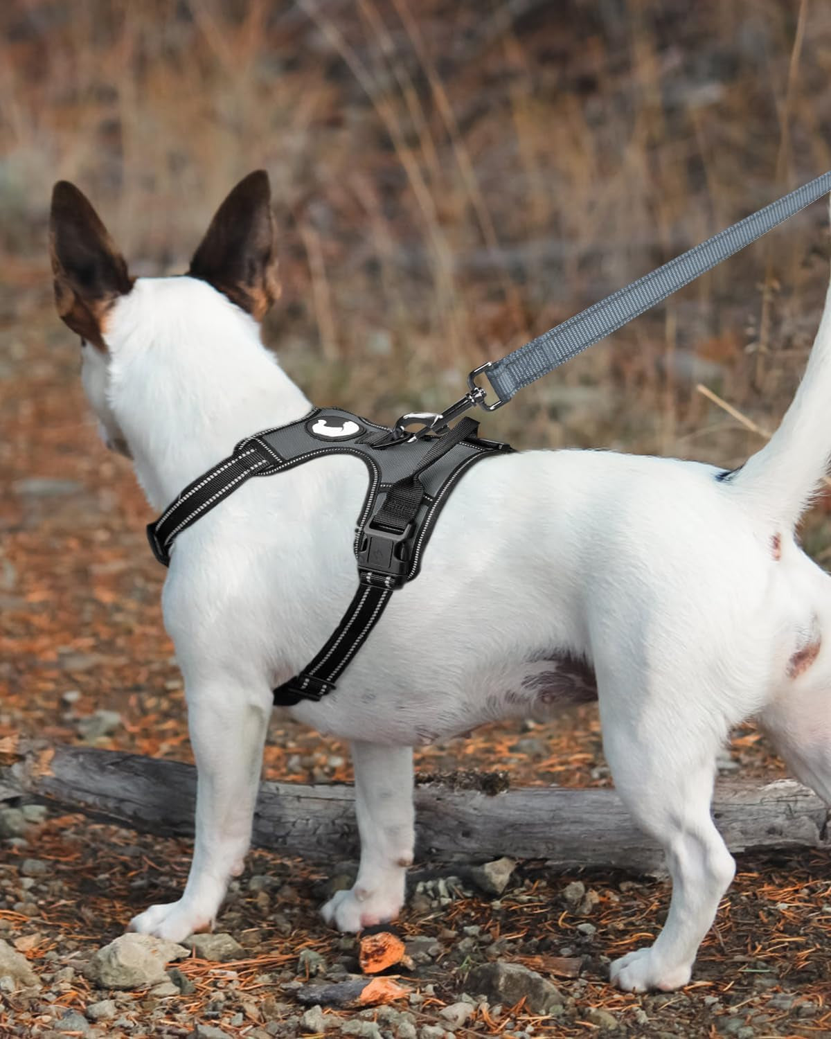 Reflective Dog Leash – 5FT Heavy-Duty Nylon with Padded Handle, Gray