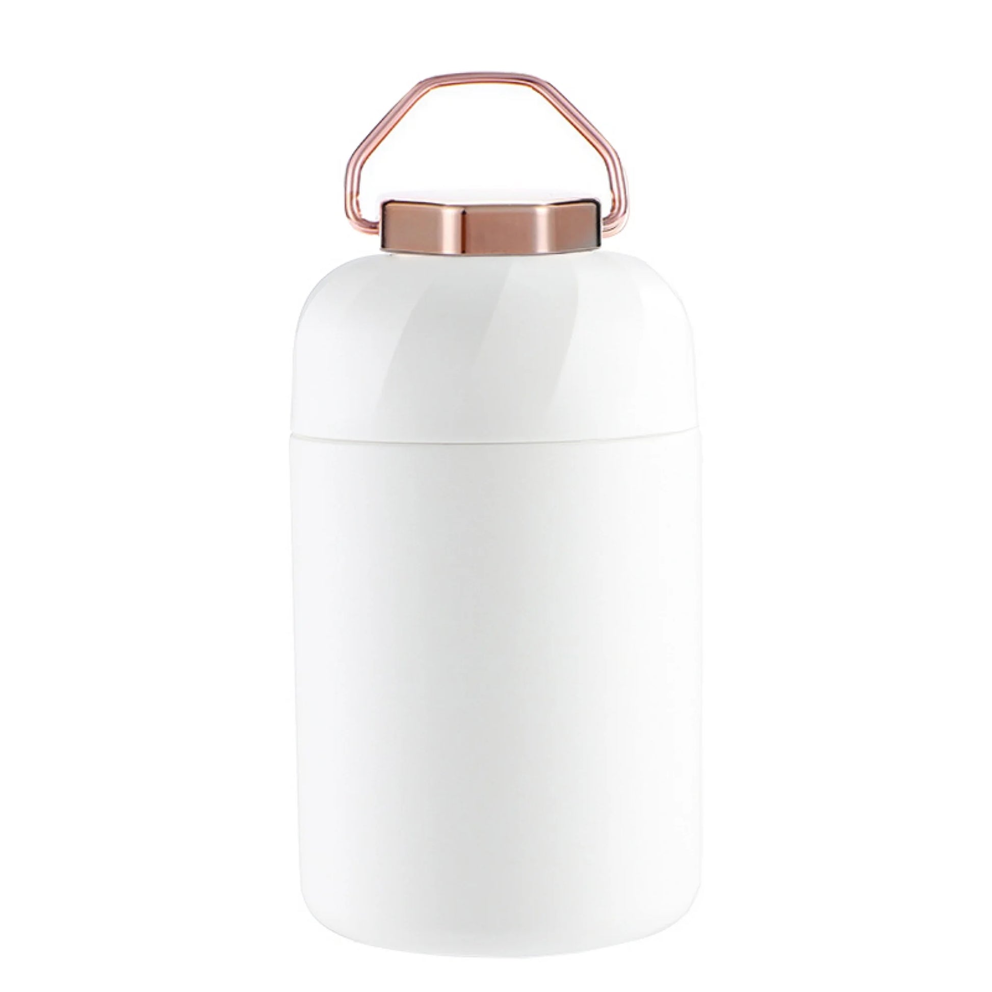 20oz White Stainless Steel Insulated Food Thermos with Spoon