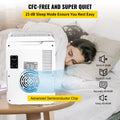 10L Mini Fridge for Skincare, Portable Cooler & Warmer with Handle