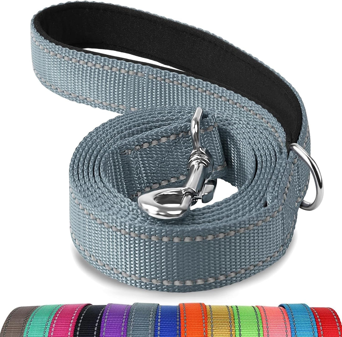 Reflective Dog Leash – 5FT Heavy-Duty Nylon with Padded Handle, Gray